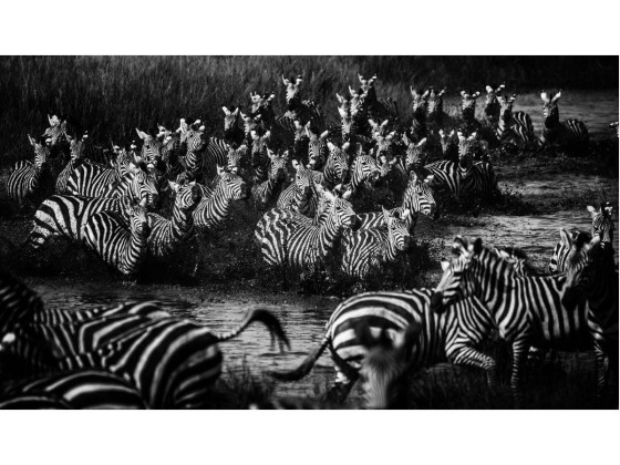 Акустические стеновые панели MOMENTI LB-013