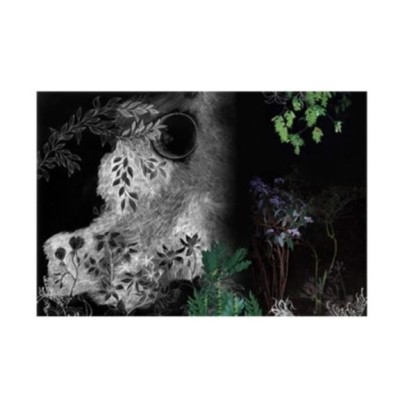 Акустические стеновые панели Moroso AT NIGHT