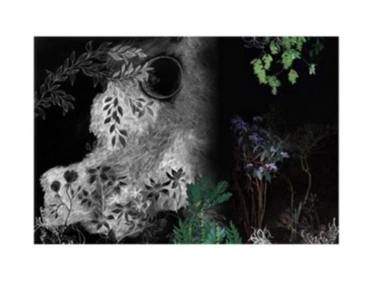 Акустические стеновые панели Moroso AT NIGHT