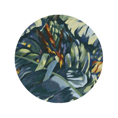 Ковер Tapis Rouge Distribution RAINFOREST CIRCLE