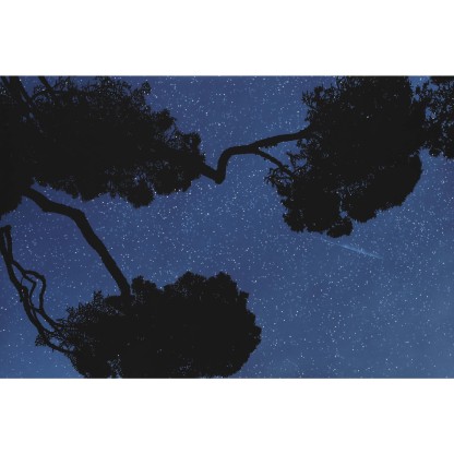 Плакат ARTDESIGNBOX ECHOES