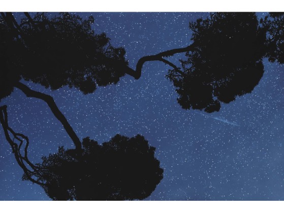 Плакат ARTDESIGNBOX ECHOES