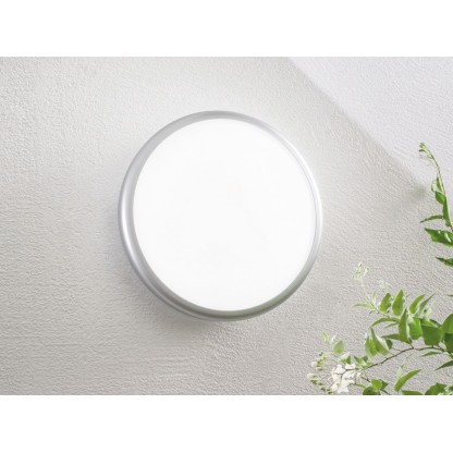 Настеннопотолочные светильники Fan Europe Lighting EVER