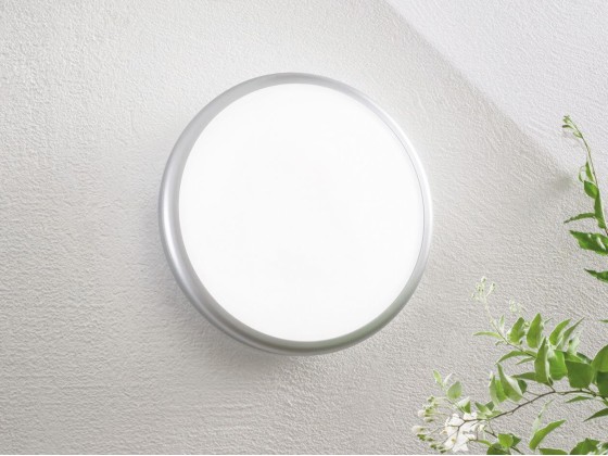 Настеннопотолочные светильники Fan Europe Lighting EVER