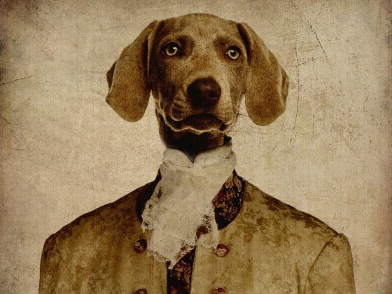 Акустические стеновые панели MOMENTI EB-009