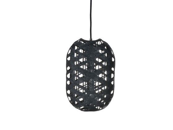 Подвесные светильники Forestier CAPSULE