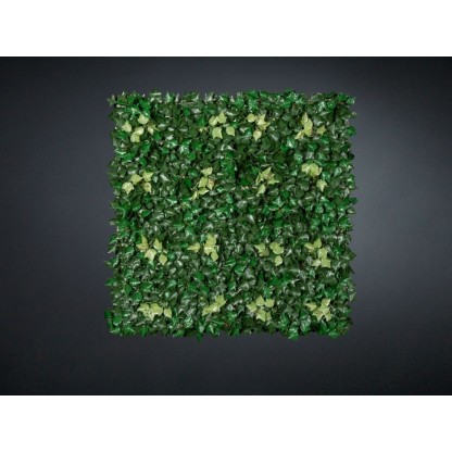 Живые стены VGnewtrend EDERA