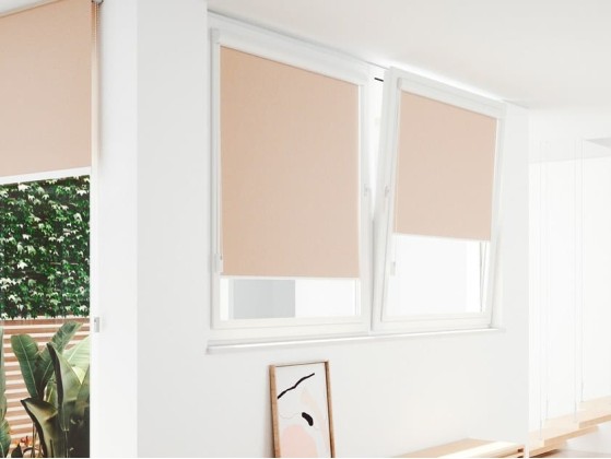 Рулонные шторы Saxun STOR GLASS AVANT