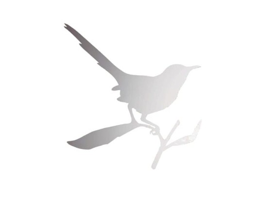 Зеркало Driade TAYLOR BIRD