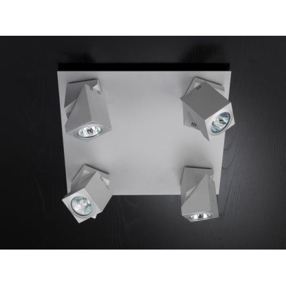 Потолочные светильники Ole Lighting PRACTYK