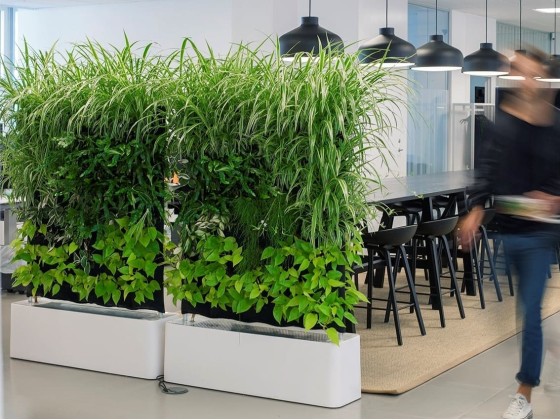 Перегородки Greenworks MOVING HEDGE