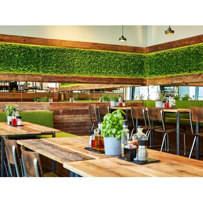 Искусственное вертикальное озеленение Freund GmbH MOOSGREEN FLEXIBLE MOSS