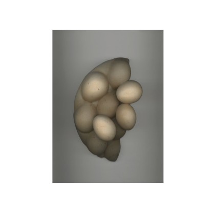 Садовый коврик HENZEL STUDIO EGGS