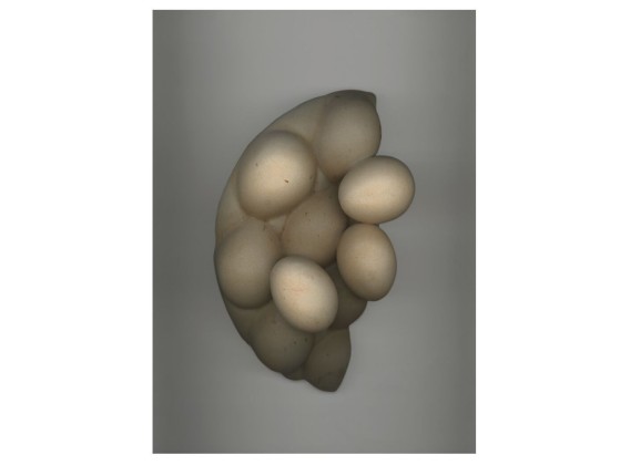 Садовый коврик HENZEL STUDIO EGGS