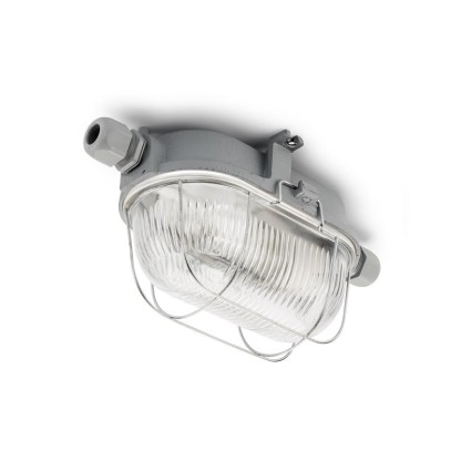 Уличные наружные потолочные светильники THPG 100506