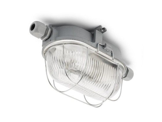 Уличные наружные потолочные светильники THPG 100506