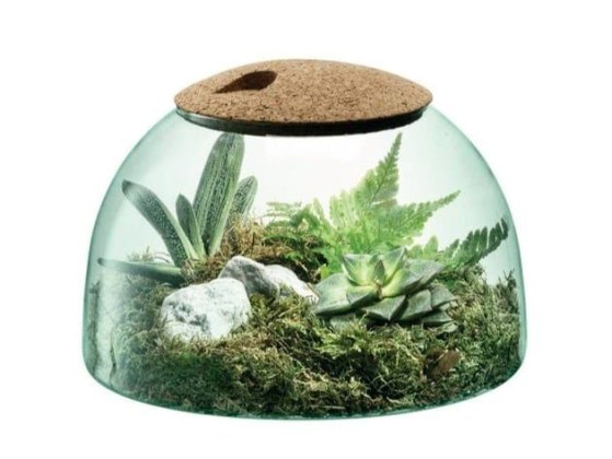 Декор LSA CANOPY CQ13 / CQ14