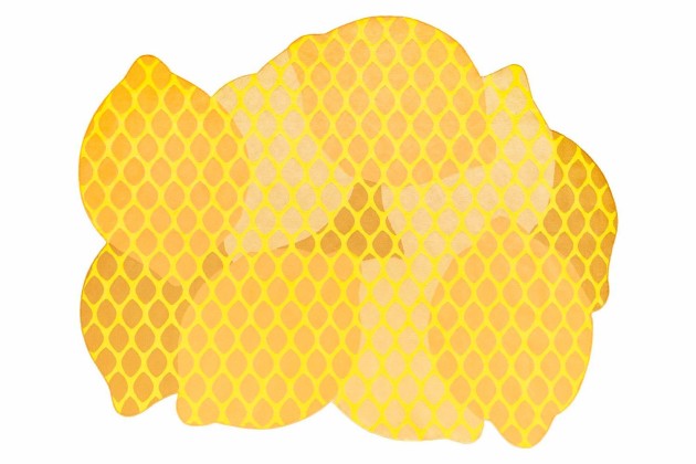 Садовый коврик GAN CITRUS LEMON