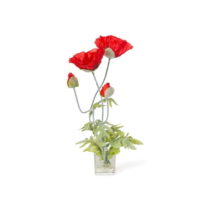 Ваза VGnewtrend ETERNITY POPPY