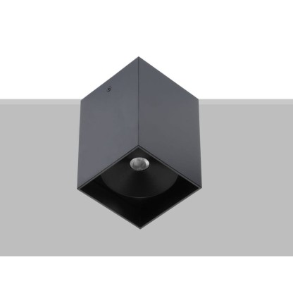 Потолочные светильники Flexalighting ARIK 2