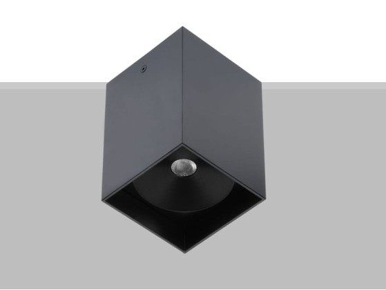 Потолочные светильники Flexalighting ARIK 2