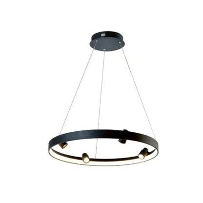 Подвесные светильники Terzo Light DENIS