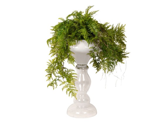 Ваза VGnewtrend ZEUS FERN ROOTS BALL