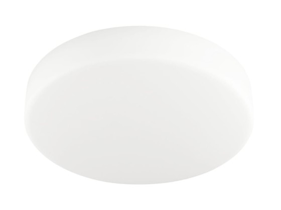 Уличные наружные потолочные светильники Linea Light Group MYWHITE FULL LIGHT_R