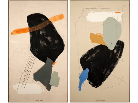 Картина NOVOCUADRO ART COMPANY Vega III &amp; IV