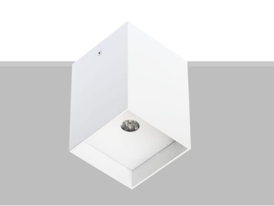 Потолочные светильники Flexalighting ARIK 6