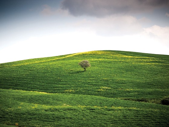 Фотографии Alidem L'ESSENZA DELLA SOLITUDINE