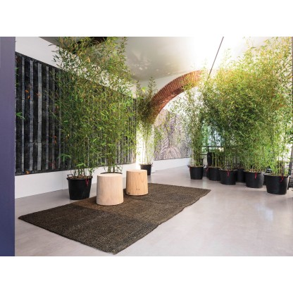 Садовый коврик G.T.DESIGN COCONUTRUG I GLASSATI