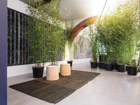 Садовый коврик G.T.DESIGN COCONUTRUG I GLASSATI