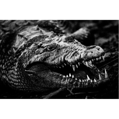 Акустические стеновые панели MOMENTI LB-016