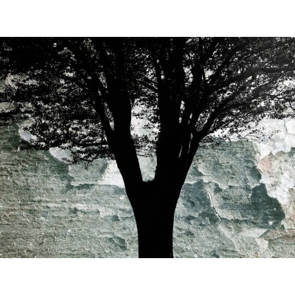 Картина MOMENTI 61