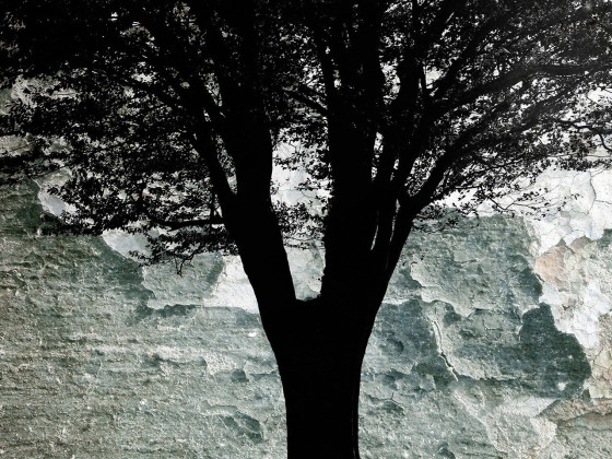 Картина MOMENTI 61