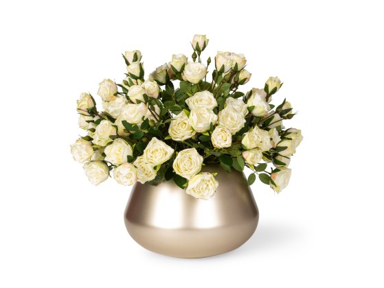 Ваза VGnewtrend BEAN ROSES