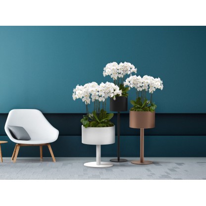 Кашпо BLOSS COUNCIL IN