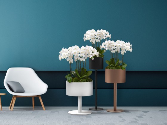 Кашпо BLOSS COUNCIL IN