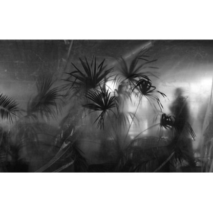 Акустические стеновые панели MOMENTI ID-008