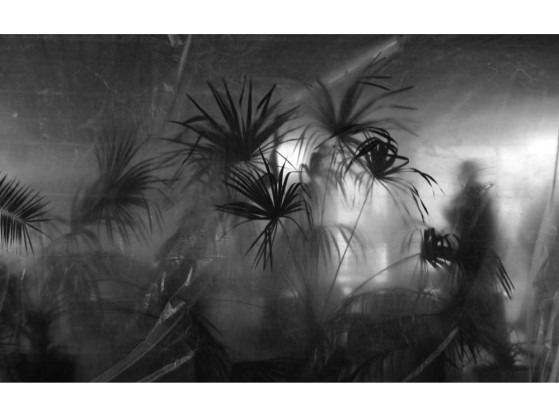 Акустические стеновые панели MOMENTI ID-008