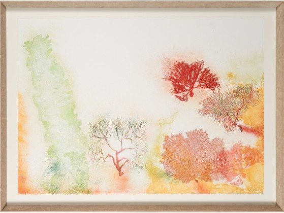 Картина NOVOCUADRO ART COMPANY Caribe