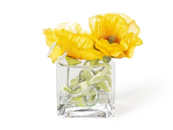 Ваза VGnewtrend ETERNITY POPPY CUBE