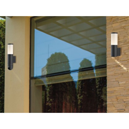 Настеннопотолочные светильники Fan Europe Lighting DISCOVERY