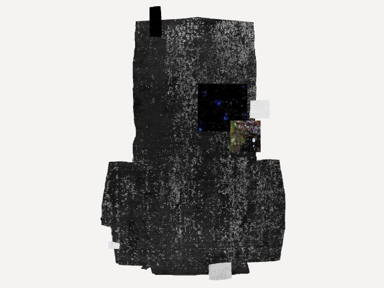 Ковер HENZEL STUDIO BOSCO VERTICALE (GARIGLIANO NIGHT SKY)