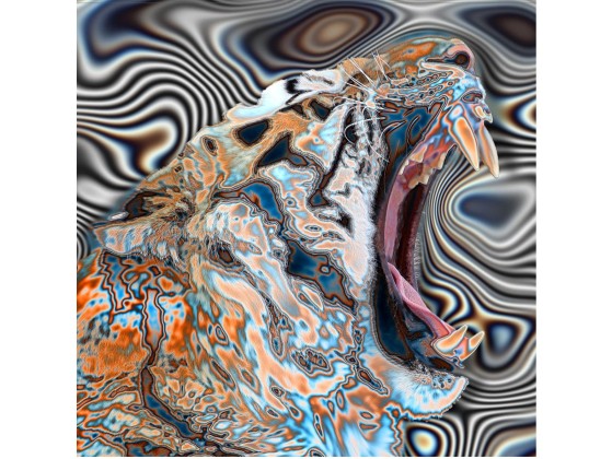 Акустические стеновые панели MOMENTI SN-004