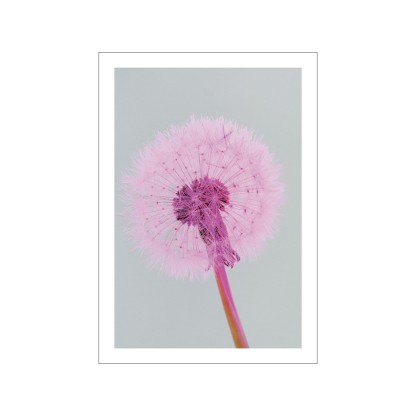 Акустические стеновые панели MOMENTI ED-009