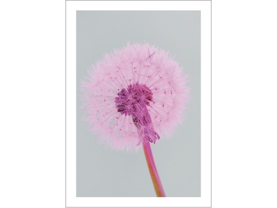 Акустические стеновые панели MOMENTI ED-009