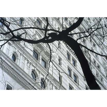 Плакат ARTDESIGNBOX LYMPHATIC