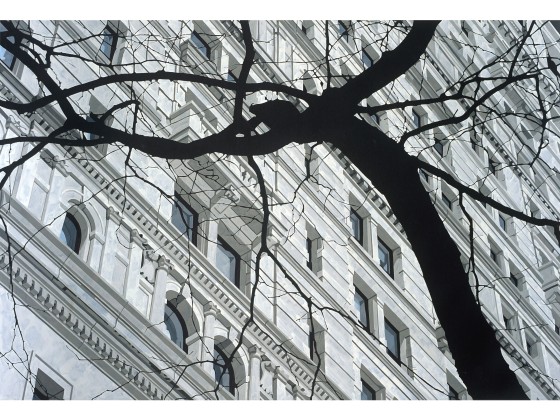 Плакат ARTDESIGNBOX LYMPHATIC